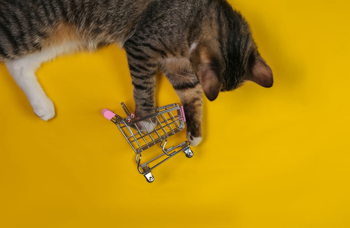 minyatür alışveriş sepetine patisini koyan kedi